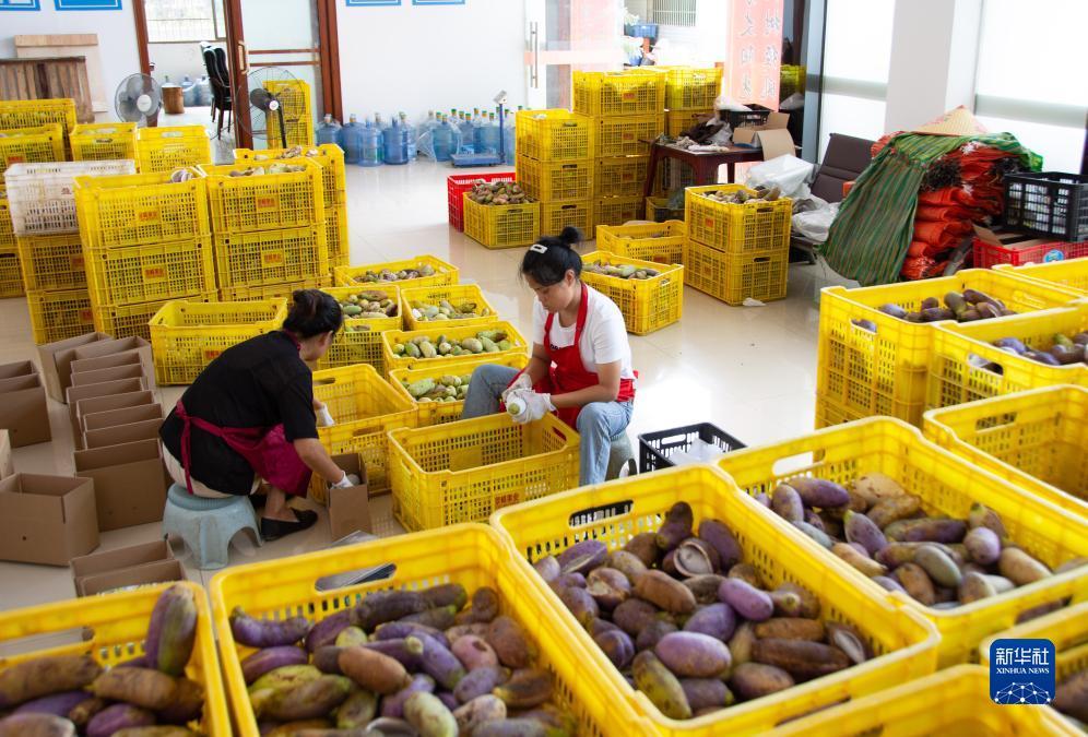 龙飞凤舞捕鱼游戏