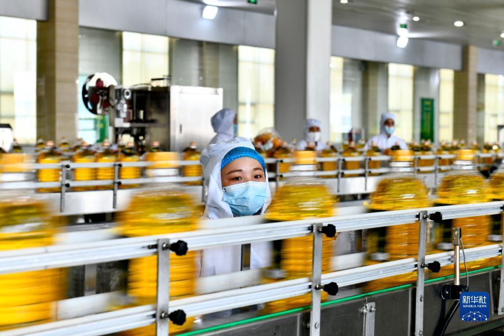 太阳城游戏网址